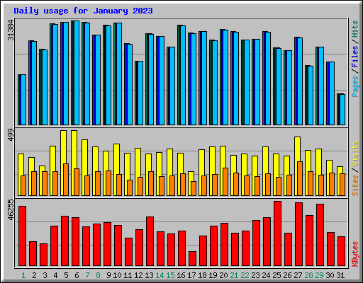 Daily usage for January 2023