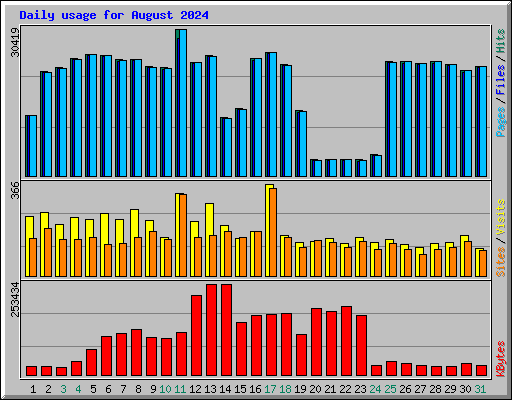 Daily usage for August 2024