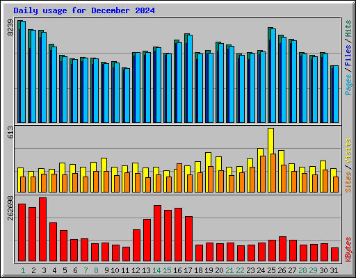 Daily usage for December 2024