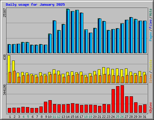 Daily usage for January 2025