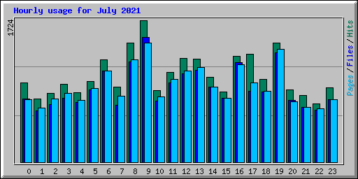 Hourly usage for July 2021