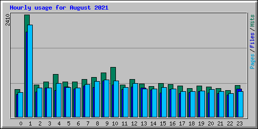 Hourly usage for August 2021