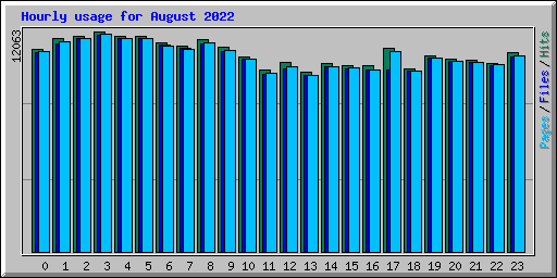 Hourly usage for August 2022