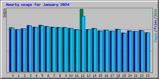 Hourly usage for January 2024