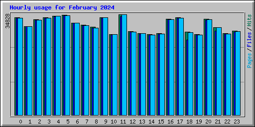 Hourly usage for February 2024