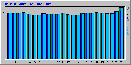 Hourly usage for June 2024