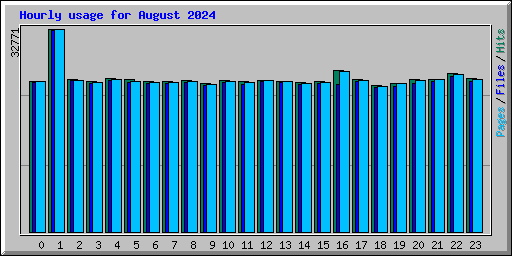 Hourly usage for August 2024