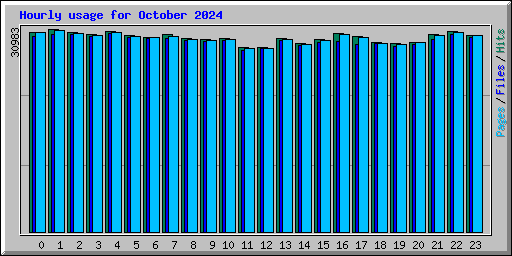 Hourly usage for October 2024