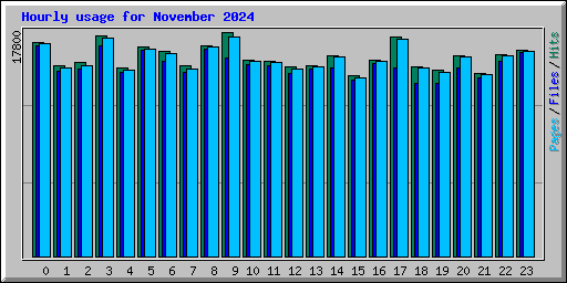 Hourly usage for November 2024