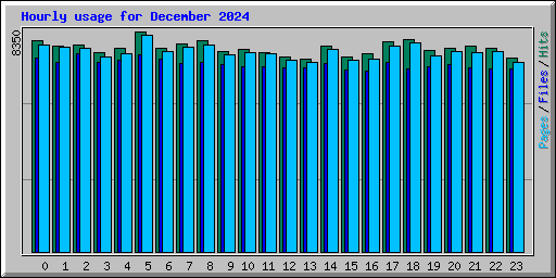 Hourly usage for December 2024