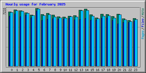 Hourly usage for February 2025