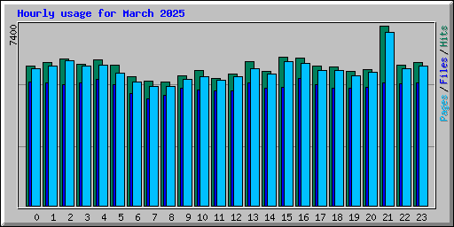 Hourly usage for March 2025
