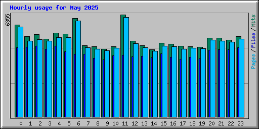 Hourly usage for May 2025