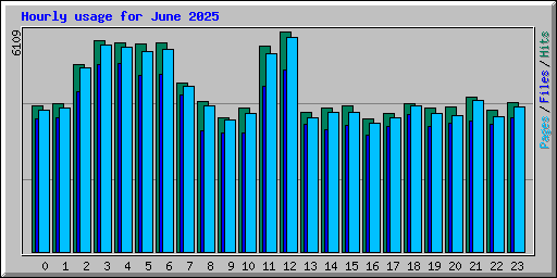 Hourly usage for June 2025