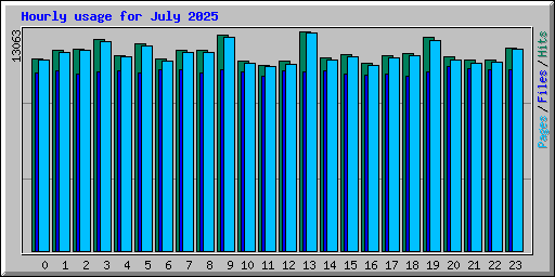 Hourly usage for July 2025