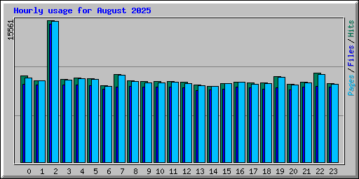 Hourly usage for August 2025