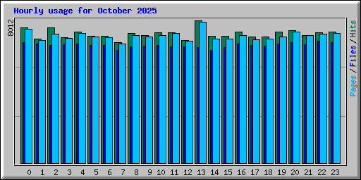 Hourly usage for October 2025