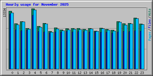 Hourly usage for November 2025