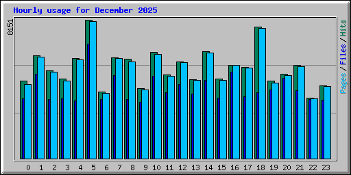Hourly usage for December 2025