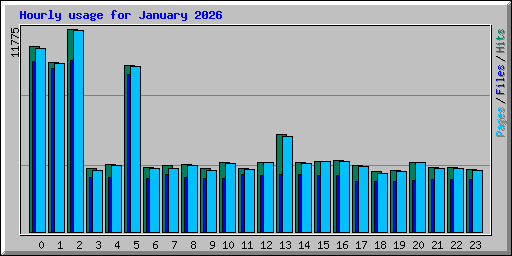 Hourly usage for January 2026