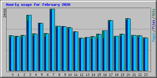 Hourly usage for February 2026
