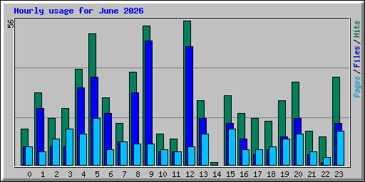 Hourly usage for June 2026