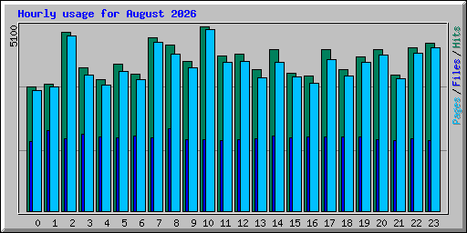 Hourly usage for August 2026